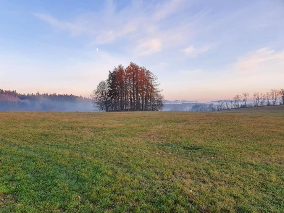 Apartmány Rudník Bolkov Esterno foto
